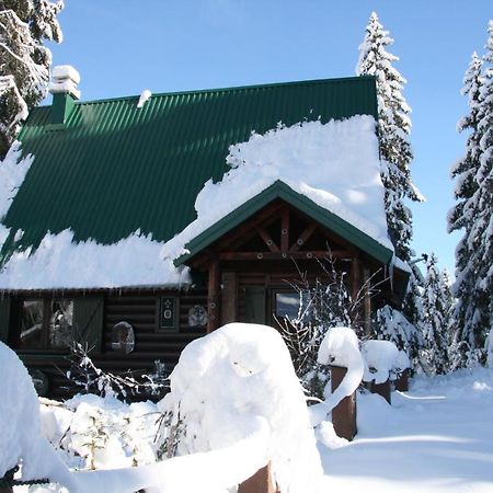Durmitor Chalet Zabljak  Ngoại thất bức ảnh