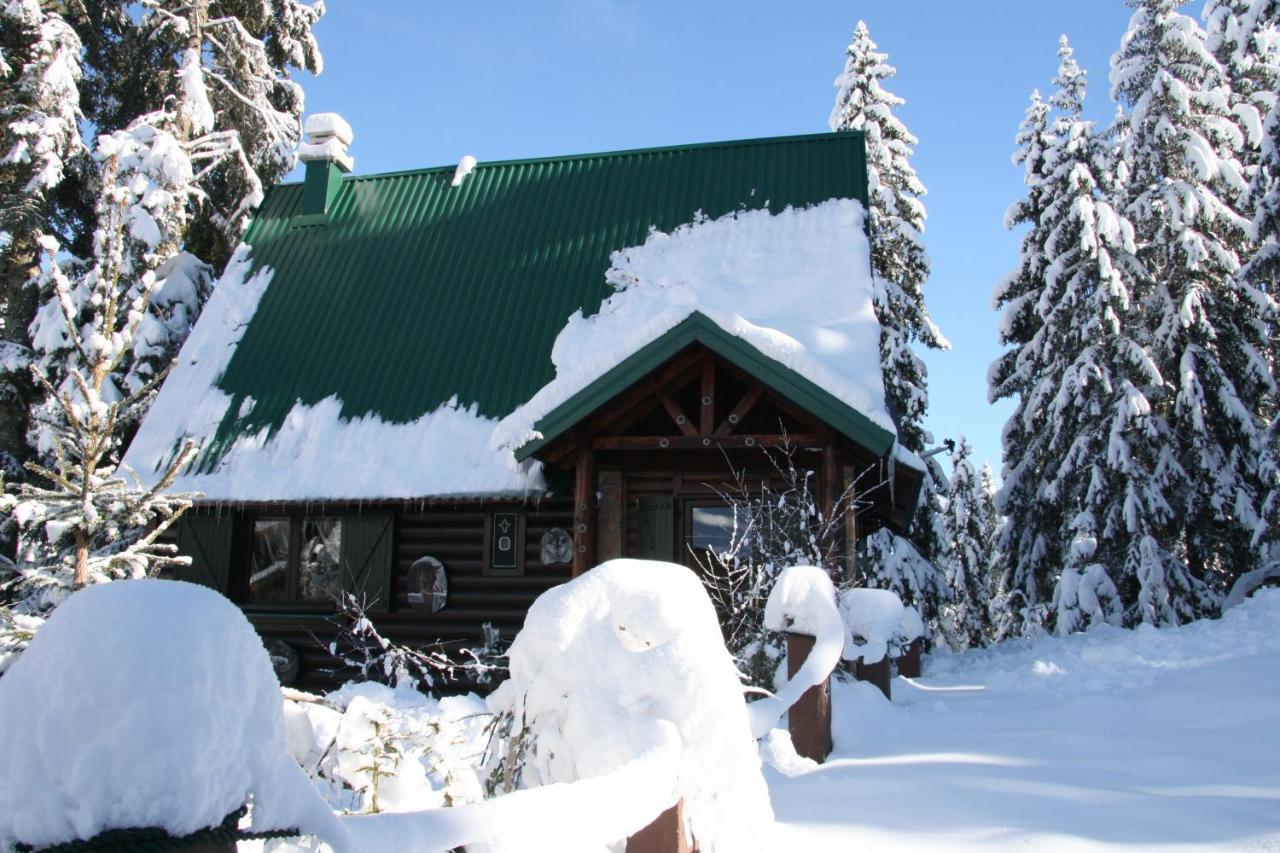 Durmitor Chalet Zabljak  Ngoại thất bức ảnh